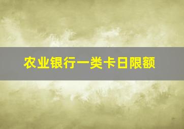 农业银行一类卡日限额