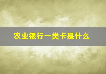 农业银行一类卡是什么