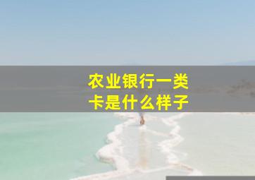 农业银行一类卡是什么样子