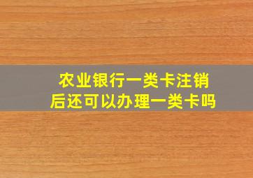 农业银行一类卡注销后还可以办理一类卡吗