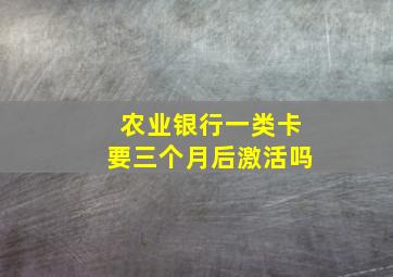 农业银行一类卡要三个月后激活吗