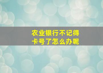 农业银行不记得卡号了怎么办呢