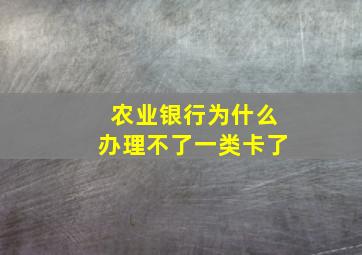 农业银行为什么办理不了一类卡了