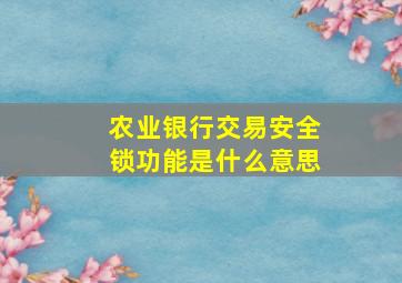 农业银行交易安全锁功能是什么意思