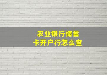 农业银行储蓄卡开户行怎么查