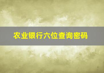 农业银行六位查询密码