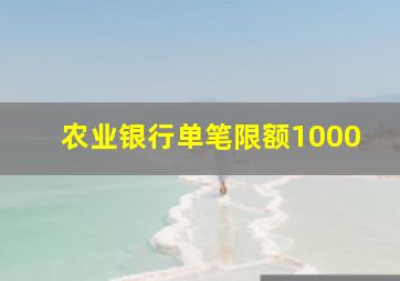 农业银行单笔限额1000