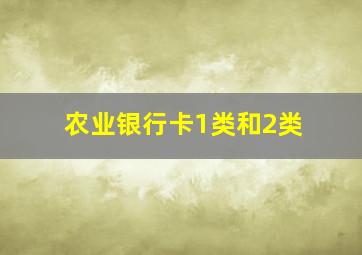 农业银行卡1类和2类