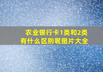 农业银行卡1类和2类有什么区别呢图片大全