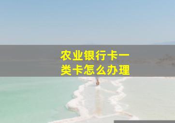 农业银行卡一类卡怎么办理