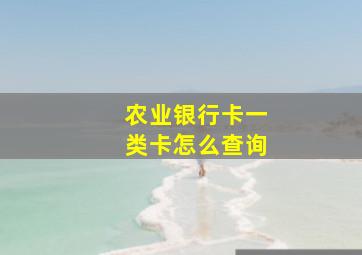 农业银行卡一类卡怎么查询