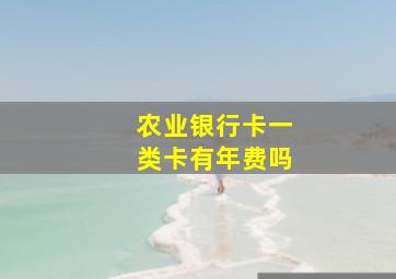 农业银行卡一类卡有年费吗