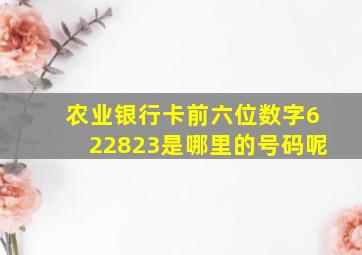 农业银行卡前六位数字622823是哪里的号码呢