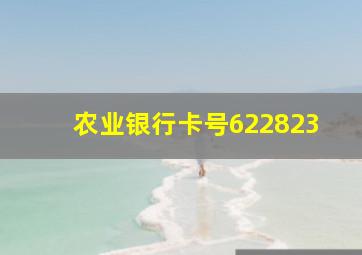 农业银行卡号622823