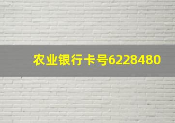 农业银行卡号6228480