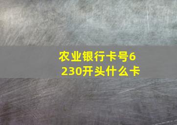 农业银行卡号6230开头什么卡