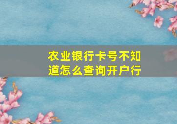 农业银行卡号不知道怎么查询开户行