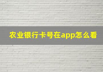 农业银行卡号在app怎么看