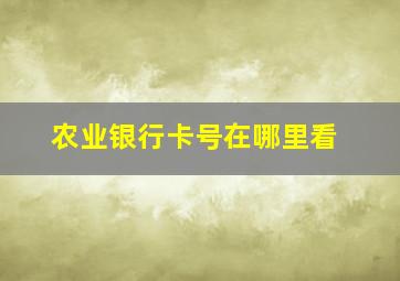 农业银行卡号在哪里看