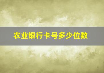 农业银行卡号多少位数