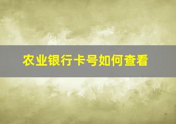 农业银行卡号如何查看