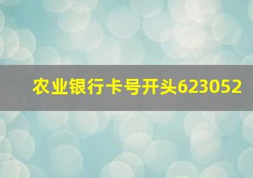 农业银行卡号开头623052