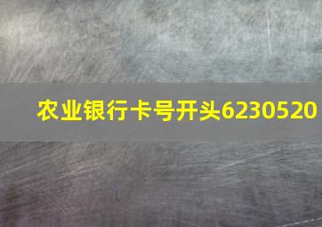 农业银行卡号开头6230520