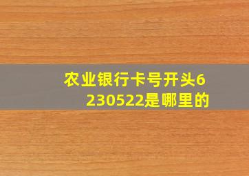 农业银行卡号开头6230522是哪里的