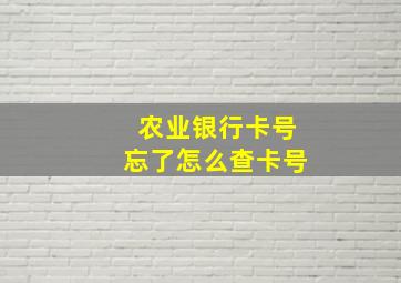 农业银行卡号忘了怎么查卡号