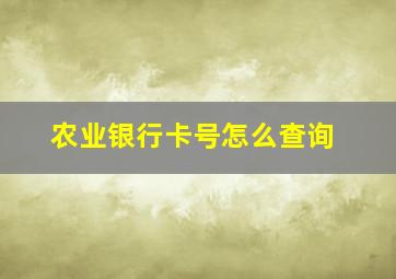 农业银行卡号怎么查询