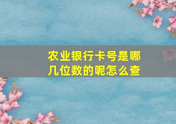 农业银行卡号是哪几位数的呢怎么查