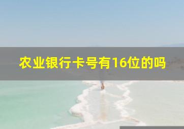 农业银行卡号有16位的吗