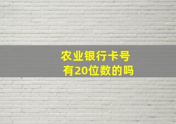 农业银行卡号有20位数的吗