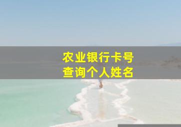 农业银行卡号查询个人姓名