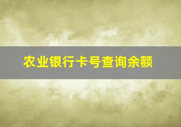 农业银行卡号查询余额