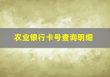 农业银行卡号查询明细