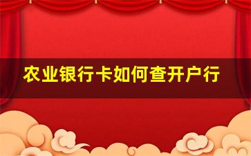 农业银行卡如何查开户行