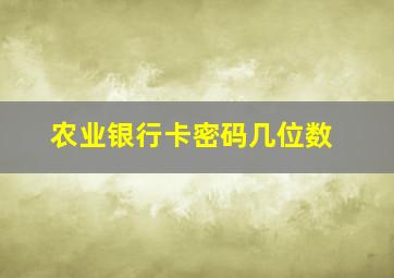 农业银行卡密码几位数