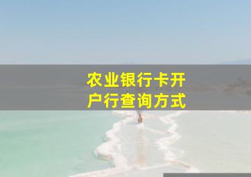 农业银行卡开户行查询方式