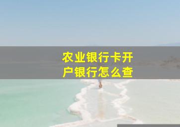 农业银行卡开户银行怎么查