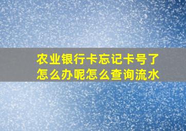 农业银行卡忘记卡号了怎么办呢怎么查询流水