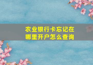 农业银行卡忘记在哪里开户怎么查询