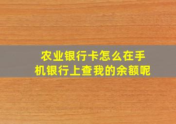 农业银行卡怎么在手机银行上查我的余额呢