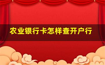 农业银行卡怎样查开户行