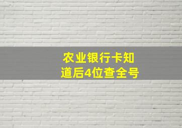 农业银行卡知道后4位查全号