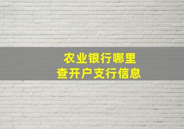 农业银行哪里查开户支行信息