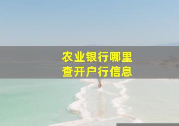 农业银行哪里查开户行信息