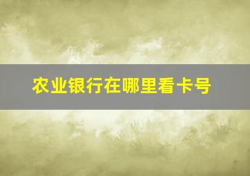 农业银行在哪里看卡号