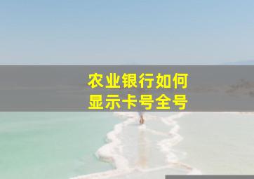 农业银行如何显示卡号全号