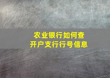 农业银行如何查开户支行行号信息